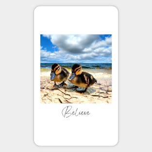 Believe - Digitalart Baby Ducks On A Sandy Beach Magnet